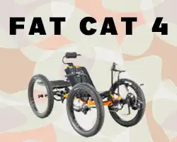 Explore with the UTCustom Catrike Fat Cat-4 Quad