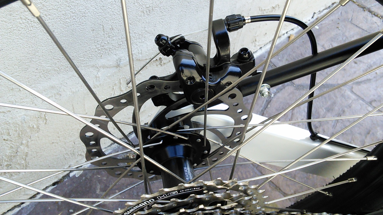 Rear Disc Brake - 