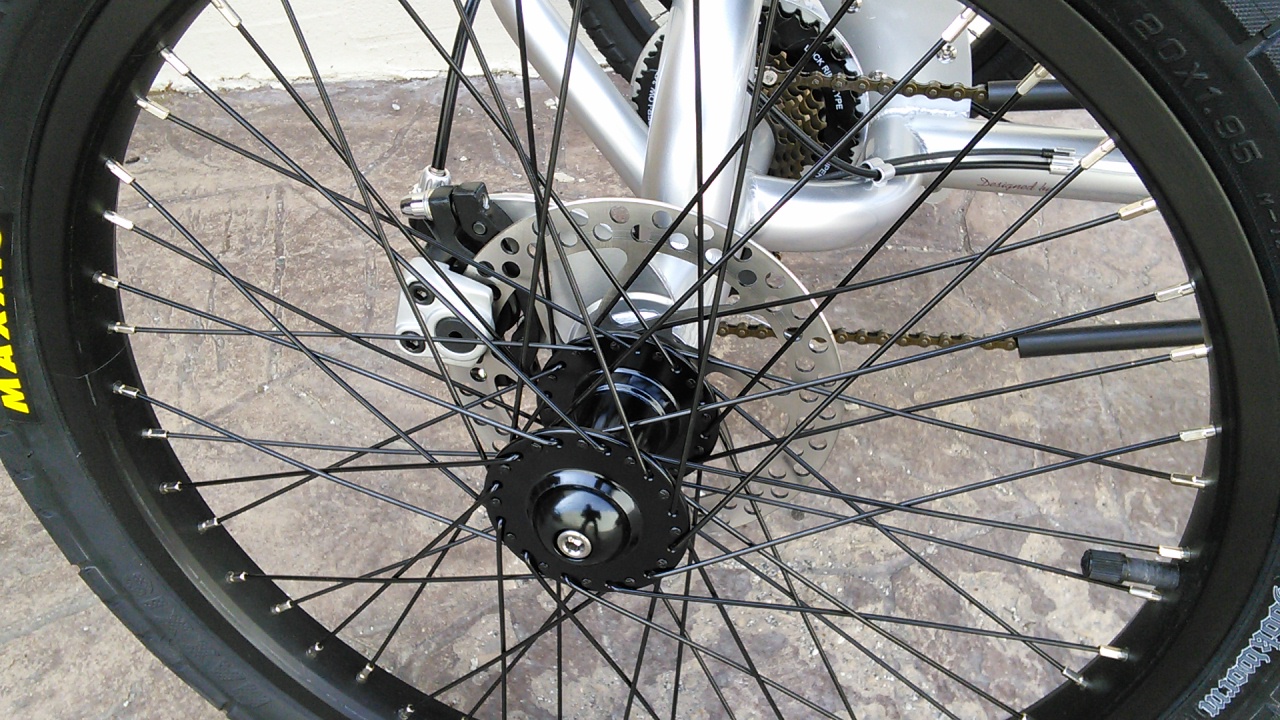 Rear Disc Brakes - 