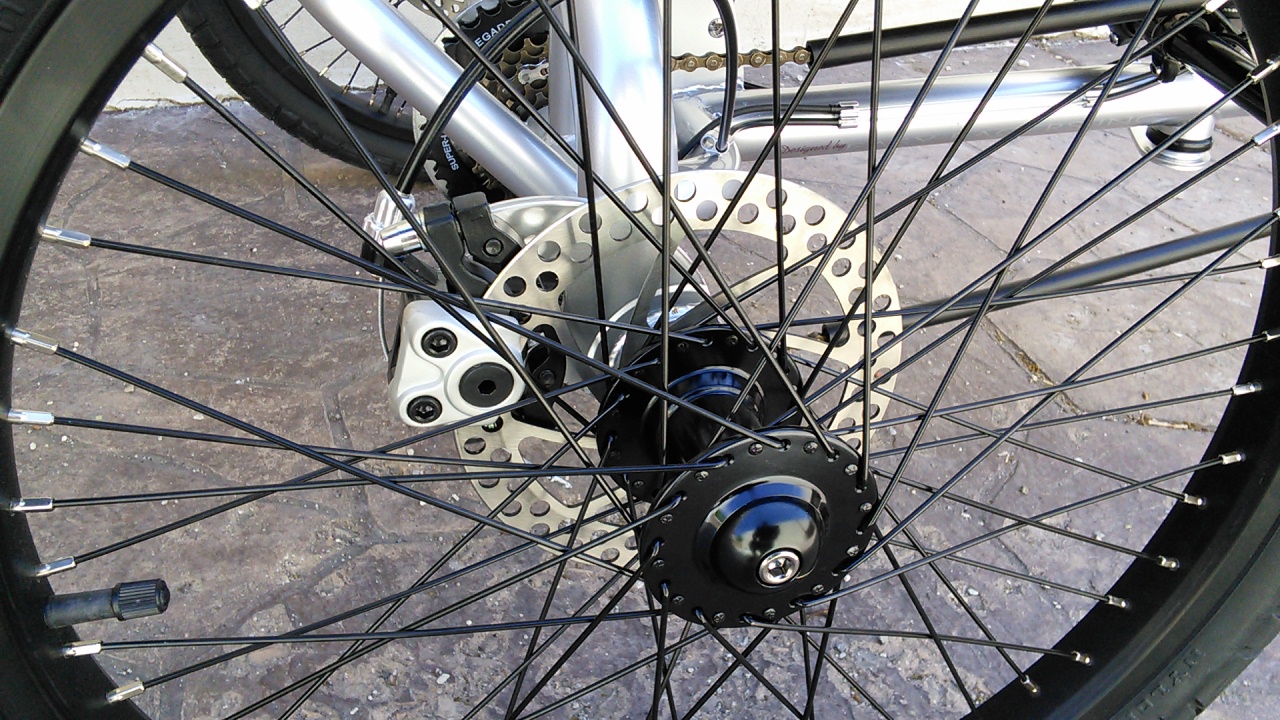 Rear Disc Brakes - 