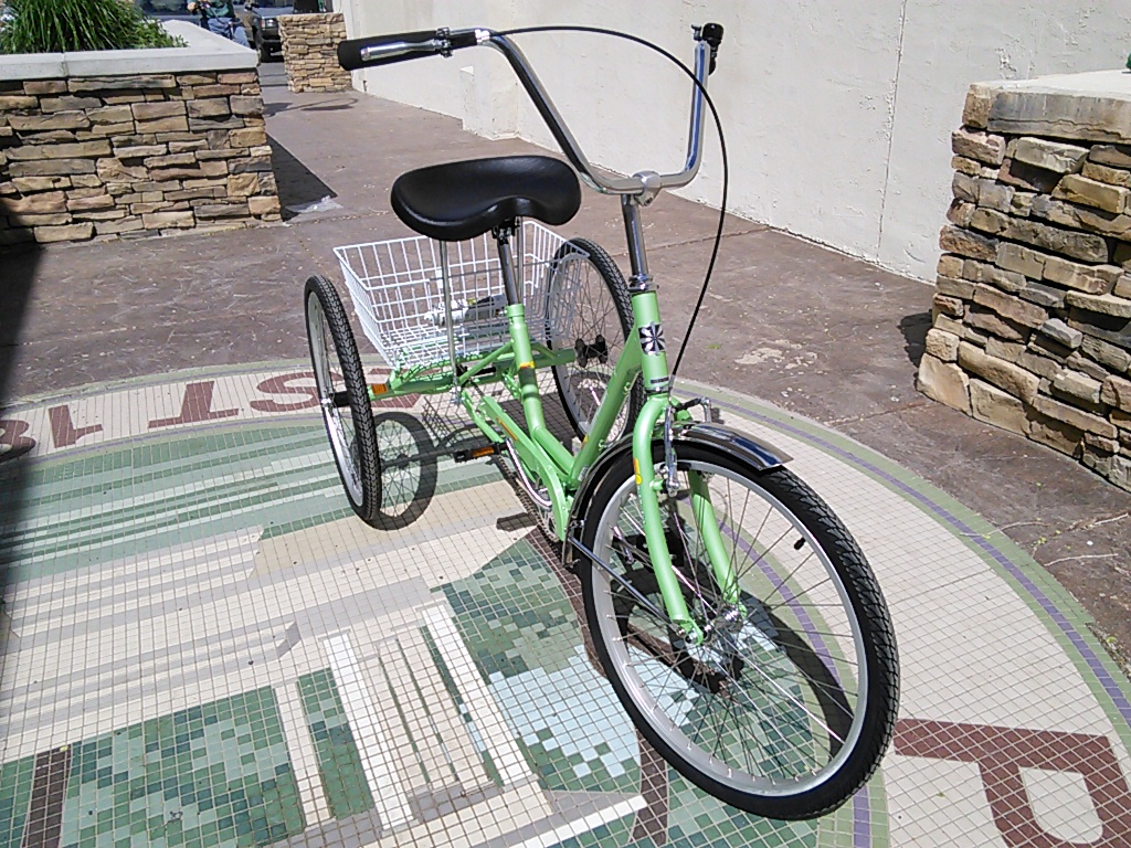 Hawley's Metallic Mint Sun Adult Trike 