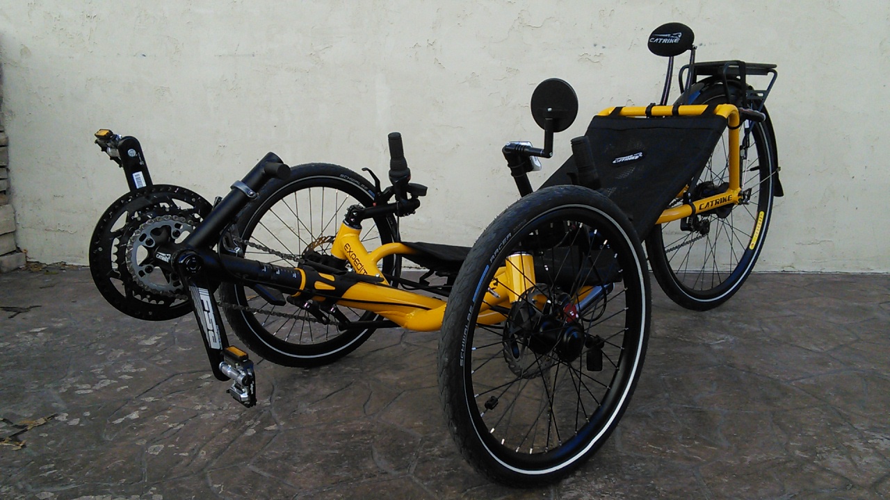 Catrike Expedition Recumbent Trike