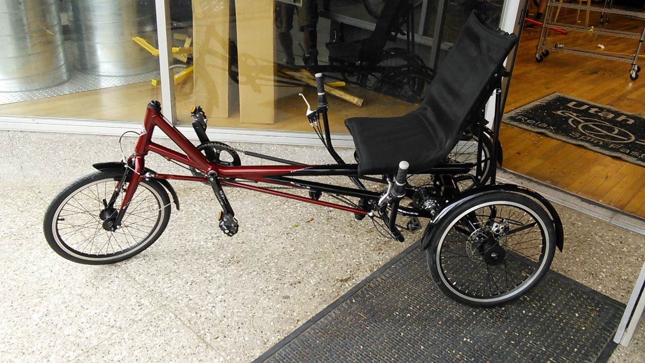 Sun Eurus 20 Delta Trike Raspberry 