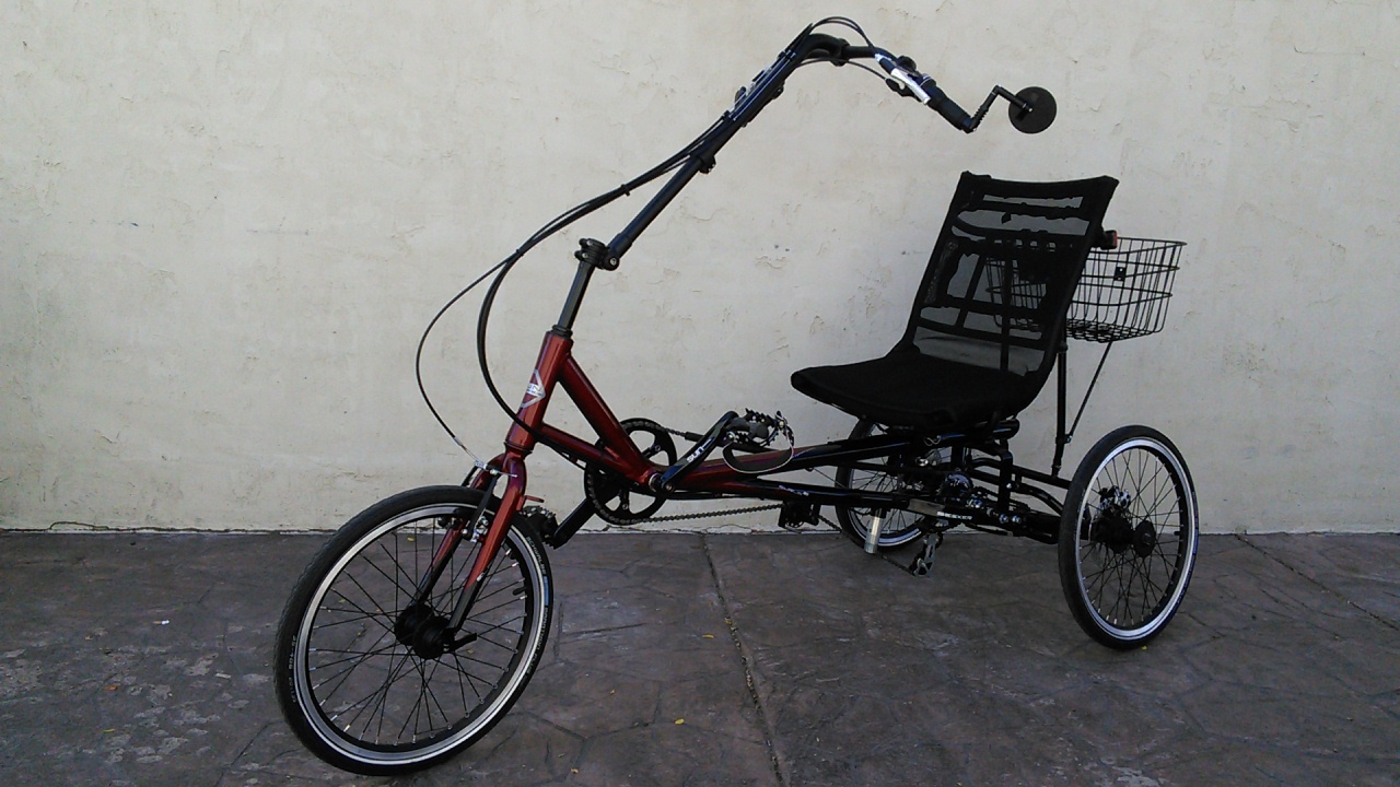 Sun Eurus 20 Delta Trike Raspberry