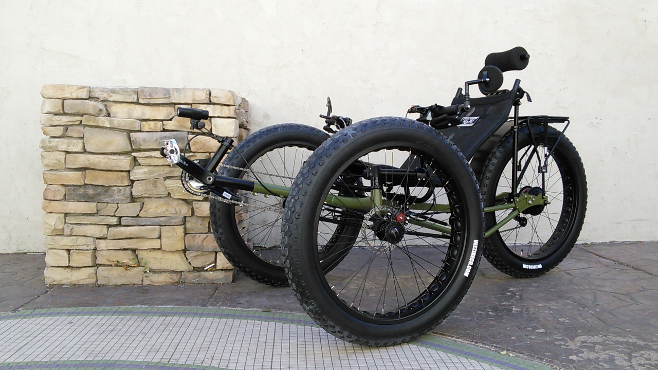 UTCustom Fat Tad Crawler Recumbent Trike