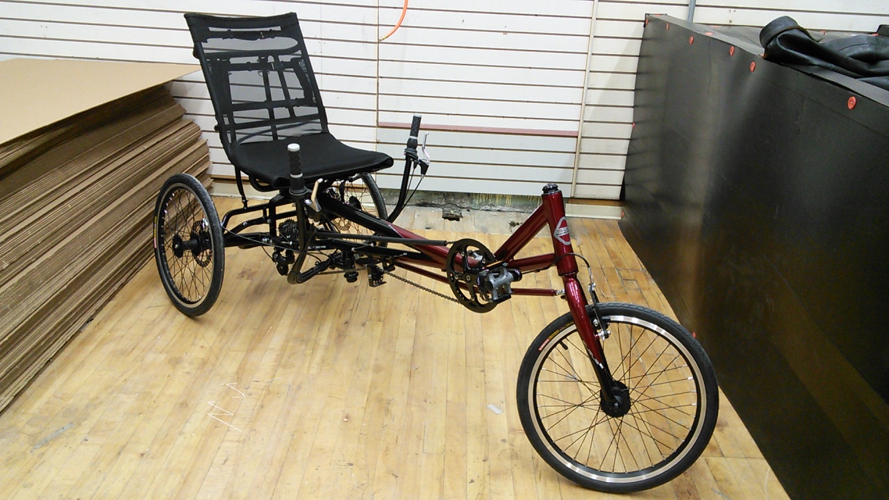 Sun Eurus 20 Delta Trike Raspberry 