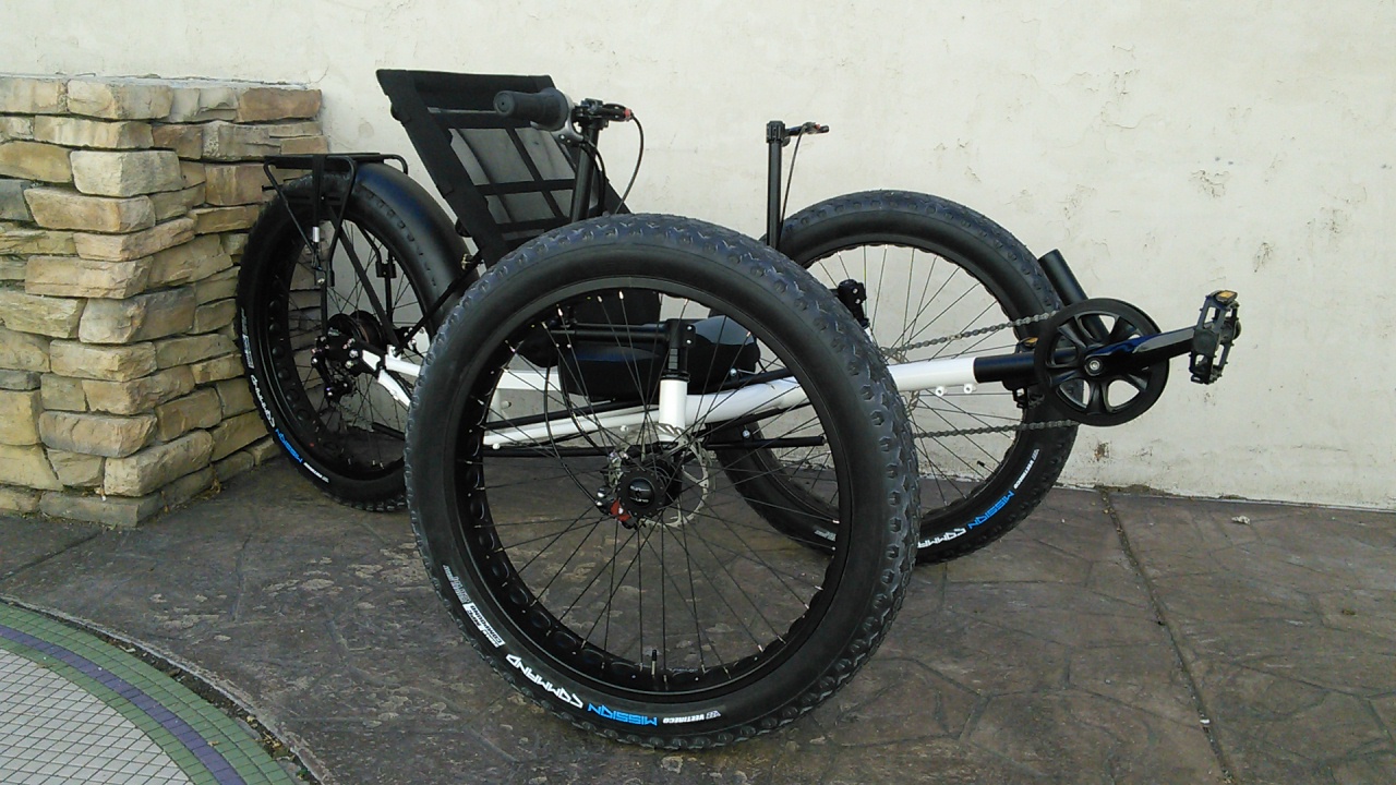 UTCustom Fat Tad Crawler Recumbent Trike