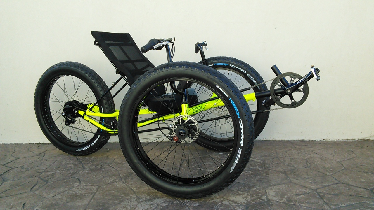 UTCustom Fat Tad Crawler Recumbent Trike