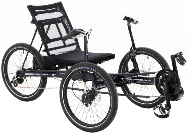 UTCustom Electro-Tad Electric Recumbent Trike