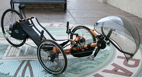 Catrike Expedition Recumbent Trike