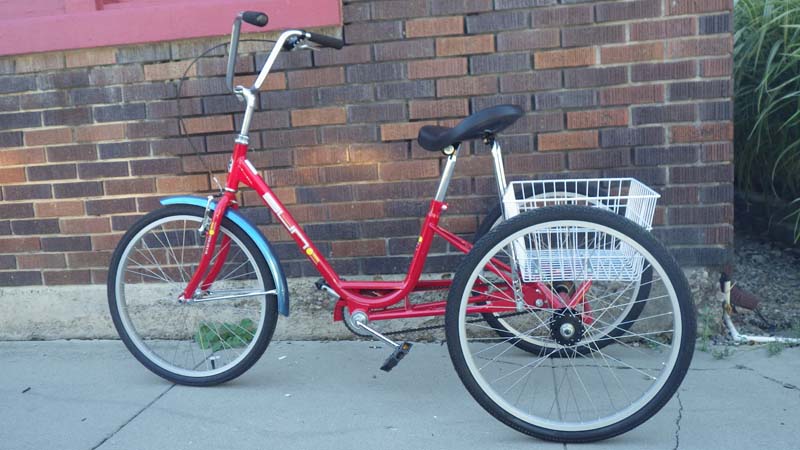 Showroom Adult Trike