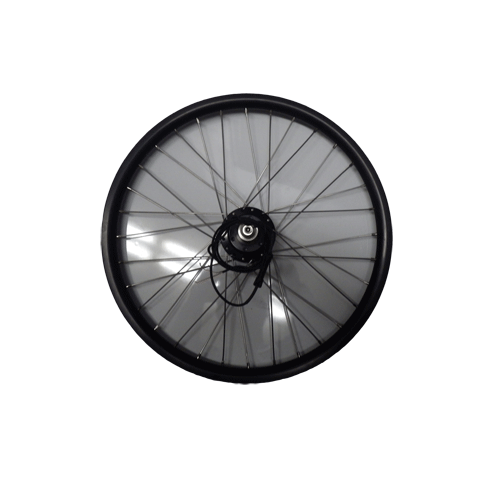 Front Wheel - 20in - Son Generator For Catrike - Catrike OEM Rim - Silver Spokes