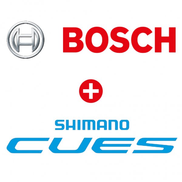 Bosch Performance CX + 1x10 Shimano Cues